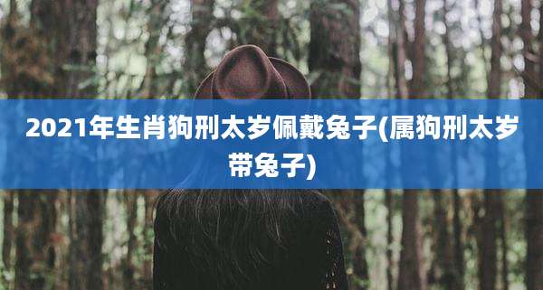 2021年生肖狗刑太岁佩戴兔子(属狗刑太岁带兔子)