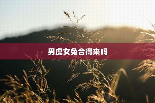 男虎女兔合得来吗