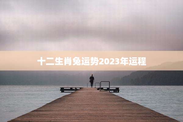 十二生肖兔运势2023年运程