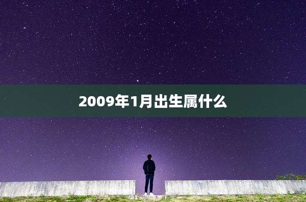 2009年1月出生属什么