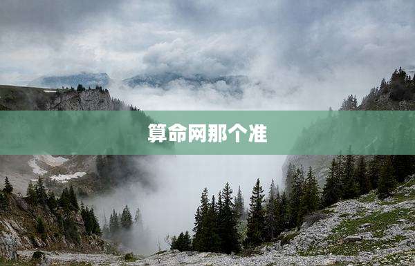 算命网那个准