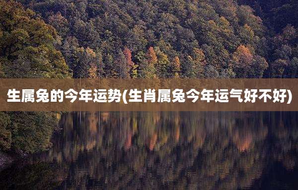 生属兔的今年运势(生肖属兔今年运气好不好)