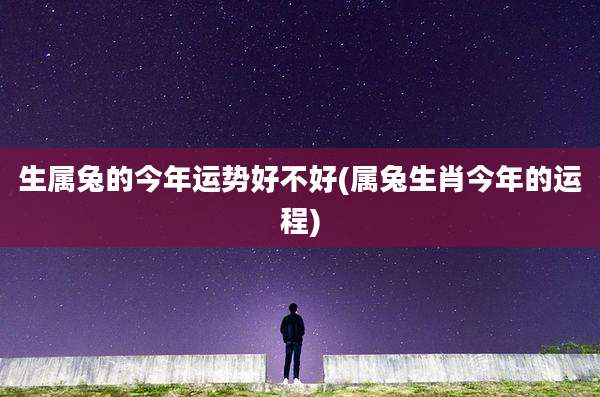生属兔的今年运势好不好(属兔生肖今年的运程)