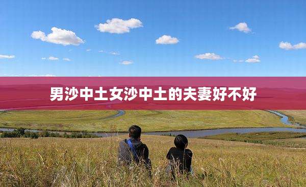 男沙中土女沙中土的夫妻好不好