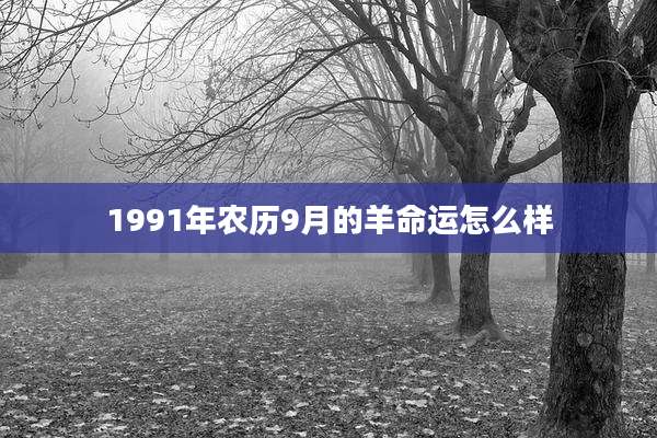 1991年农历9月的羊命运怎么样