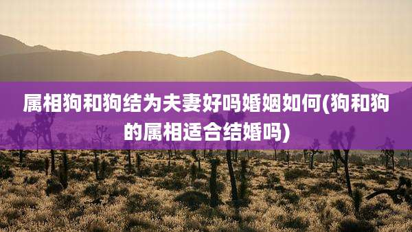 属相狗和狗结为夫妻好吗婚姻如何(狗和狗的属相适合结婚吗)