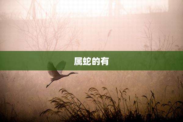 属蛇的有
