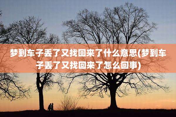 梦到车子丢了又找回来了什么意思(梦到车子丢了又找回来了怎么回事)