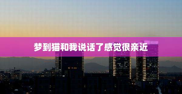 梦到猫和我说话了感觉很亲近