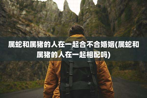 属蛇和属猪的人在一起合不合婚姻(属蛇和属猪的人在一起相配吗)