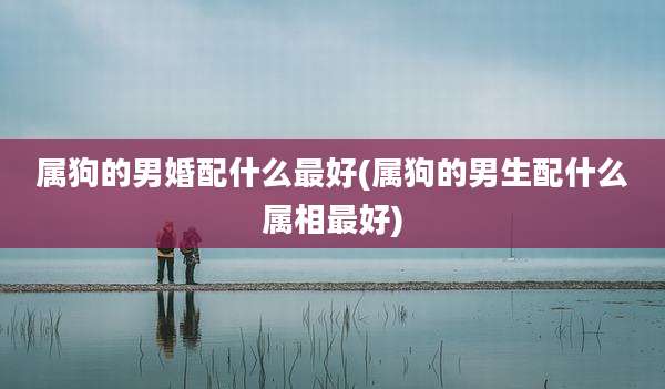 属狗的男婚配什么最好(属狗的男生配什么属相最好)