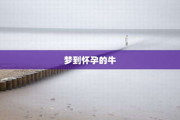 梦到怀孕的牛