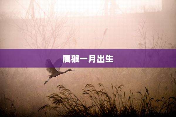 属猴一月出生