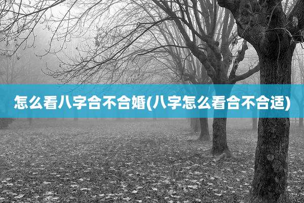 怎么看八字合不合婚(八字怎么看合不合适)
