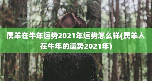 属羊在牛年运势2021年运势怎么样(属羊人在牛年的运势2021年)