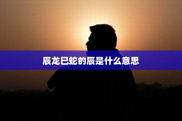 辰龙巳蛇的辰是什么意思