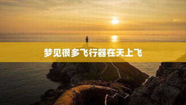 梦见很多飞行器在天上飞