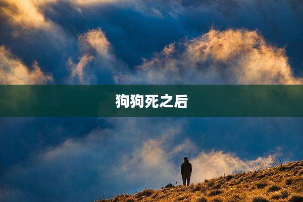 狗狗死之后