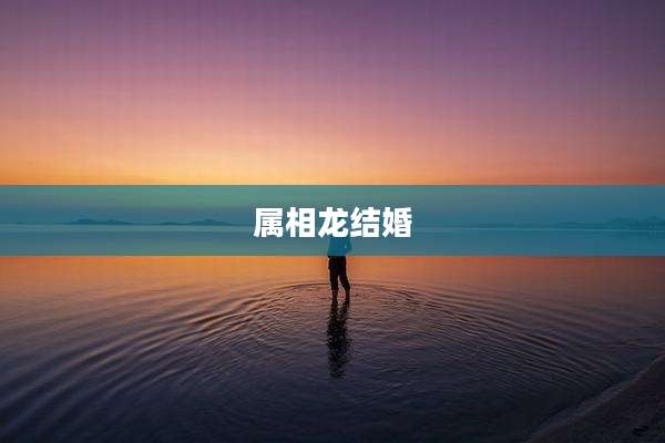 属相龙结婚