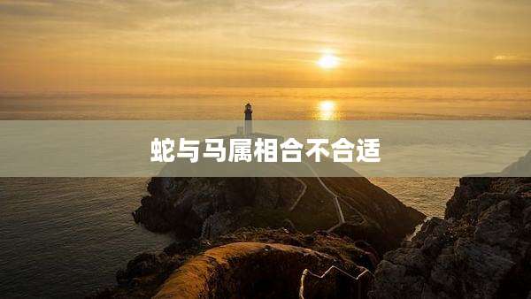 蛇与马属相合不合适