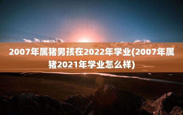 2007年属猪男孩在2022年学业(2007年属猪2021年学业怎么样)