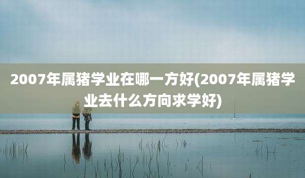 2007年属猪学业在哪一方好(2007年属猪学业去什么方向求学好)