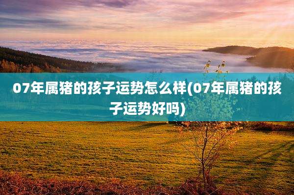 07年属猪的孩子运势怎么样(07年属猪的孩子运势好吗)