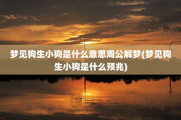 梦见狗生小狗是什么意思周公解梦(梦见狗生小狗是什么预兆)