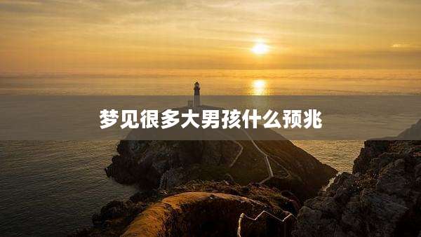 梦见很多大男孩什么预兆