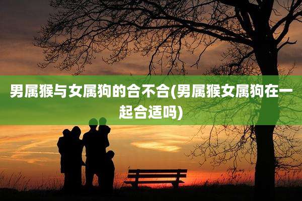 男属猴与女属狗的合不合(男属猴女属狗在一起合适吗)