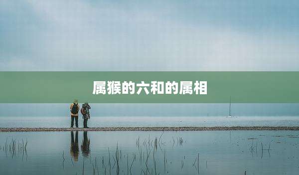 属猴的六和的属相