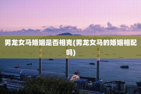 男龙女马婚姻是否相克(男龙女马的婚姻相配吗)