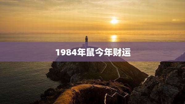 1984年鼠今年财运