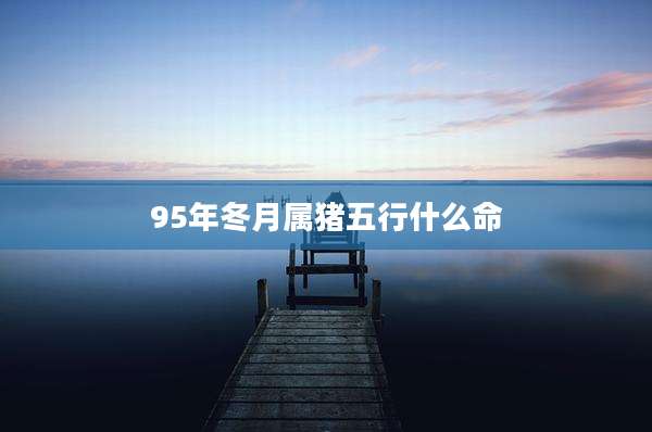 95年冬月属猪五行什么命