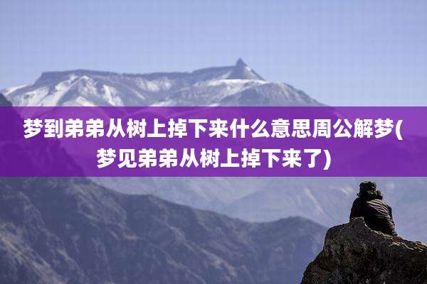 梦到弟弟从树上掉下来什么意思周公解梦(梦见弟弟从树上掉下来了)