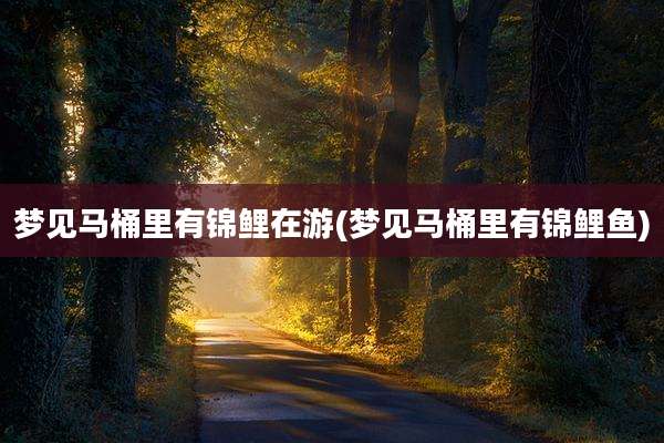 梦见马桶里有锦鲤在游(梦见马桶里有锦鲤鱼)