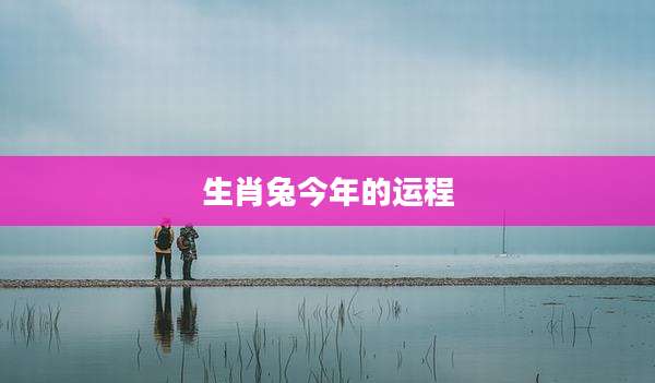 生肖兔今年的运程