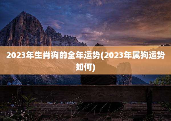 2023年生肖狗的全年运势(2023年属狗运势如何)