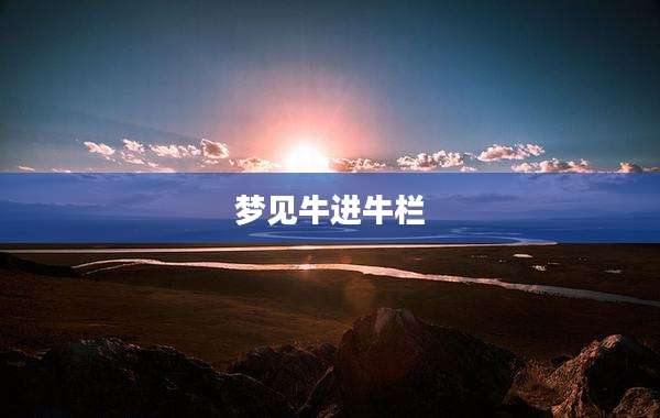 梦见牛进牛栏