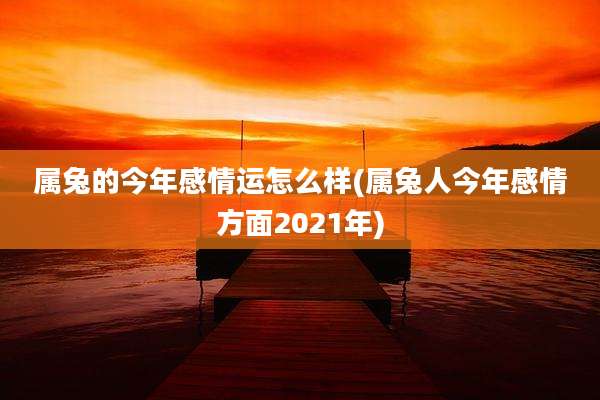 属兔的今年感情运怎么样(属兔人今年感情方面2021年)