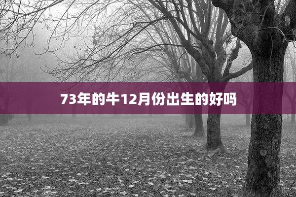 73年的牛12月份出生的好吗