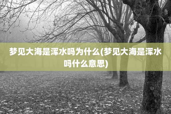 梦见大海是浑水吗为什么(梦见大海是浑水吗什么意思)
