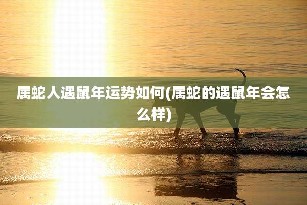 属蛇人遇鼠年运势如何(属蛇的遇鼠年会怎么样)