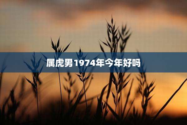 属虎男1974年今年好吗