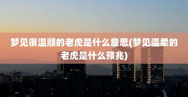 梦见很温顺的老虎是什么意思(梦见温柔的老虎是什么预兆)