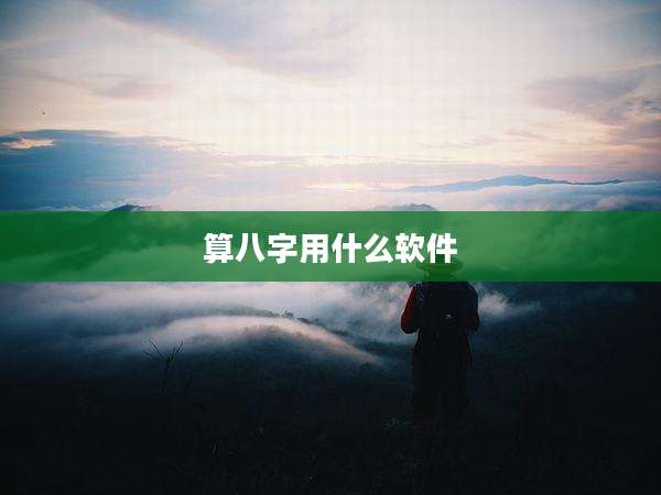 算八字用什么软件