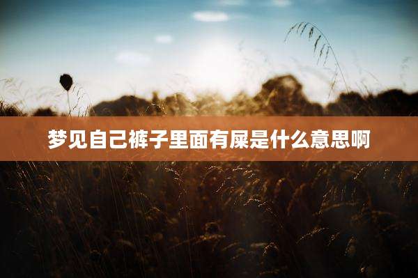 梦见自己裤子里面有屎是什么意思啊