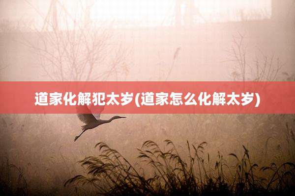 道家化解犯太岁(道家怎么化解太岁)
