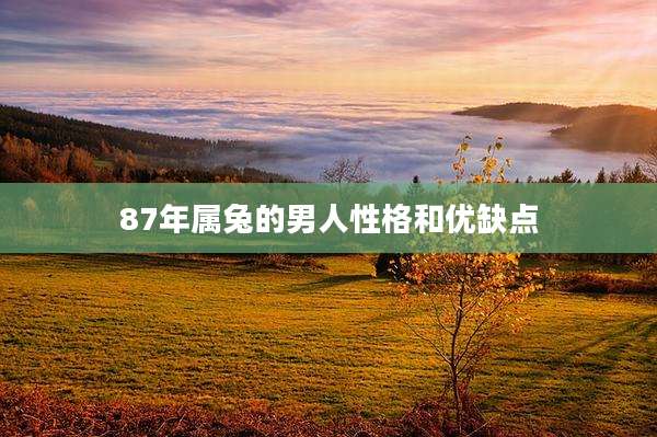 87年属兔的男人性格和优缺点
