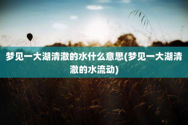 梦见一大湖清澈的水什么意思(梦见一大湖清澈的水流动)
